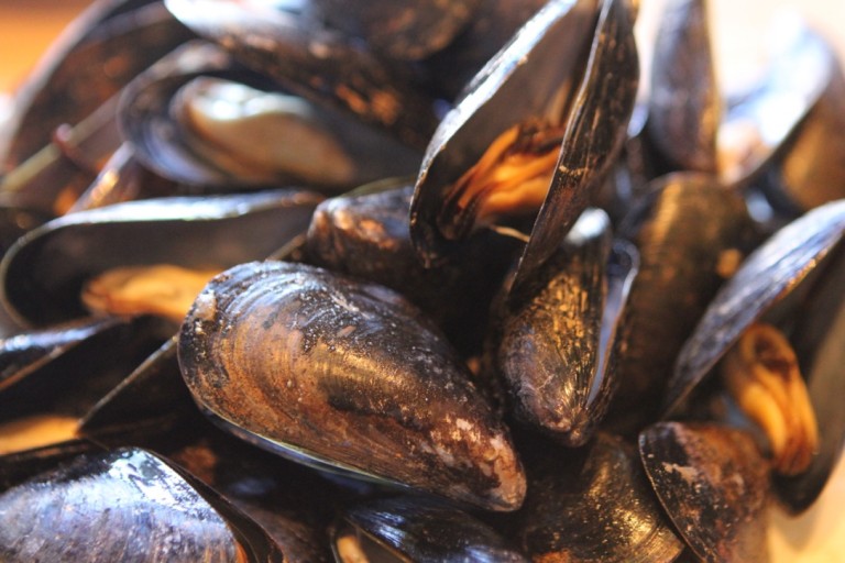 Bertha's Mussels ⋆ Eat Bertha's Mussels